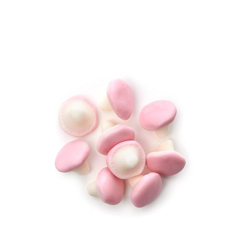 Champignons Magiques